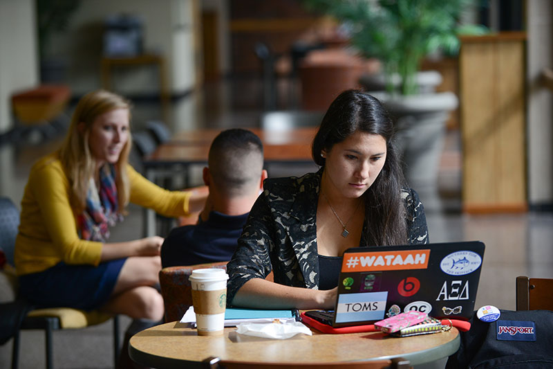 Student studying in Pennington Lounge.