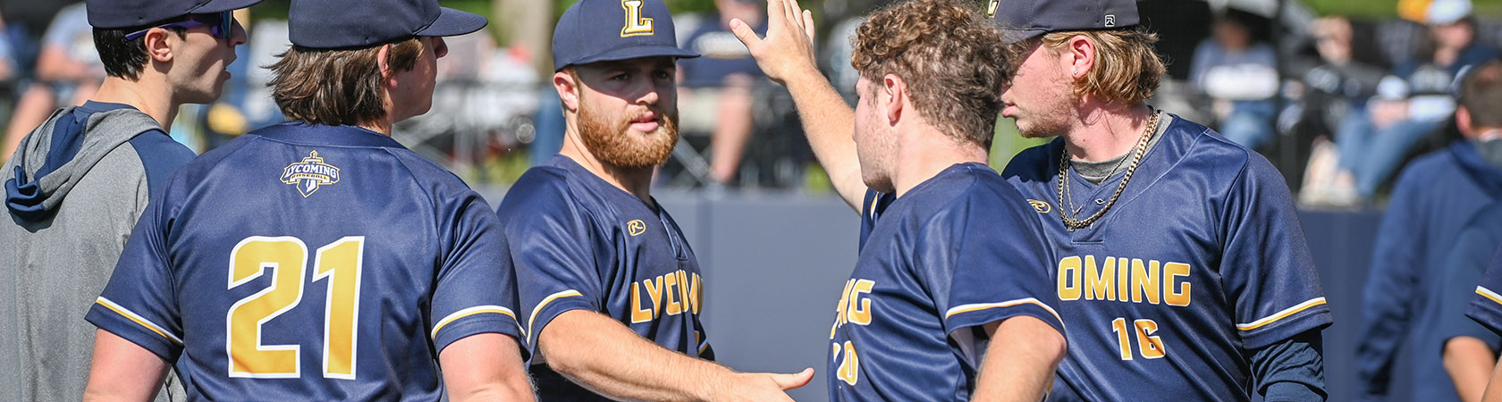 Lycoming College Baseball Complex Project