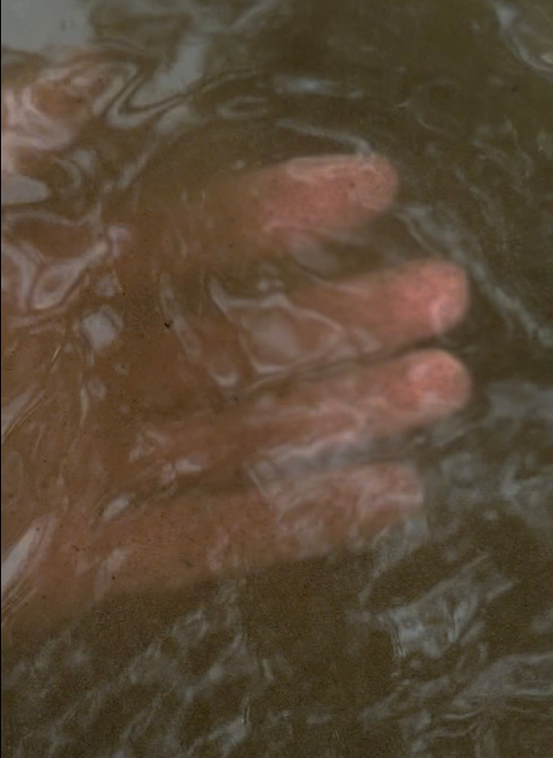Guadalupe Martinez: Becoming River, 2026, multi-channel video installation with sound.