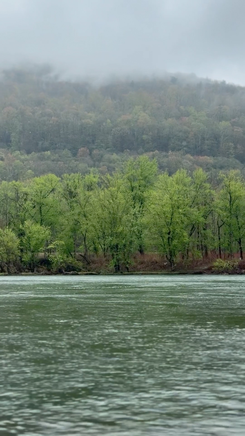 Guadalupe Martinez: Becoming River, 2026, multi-channel video installation with sound.