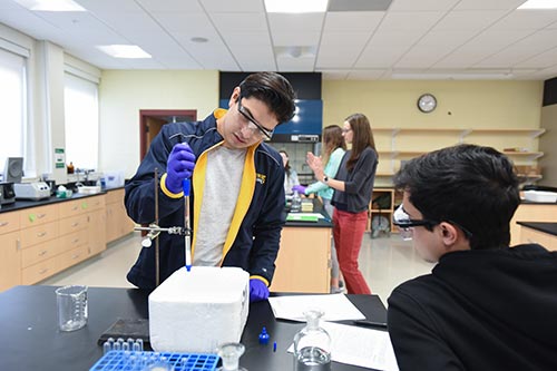 Edgar Serrano and Alex Verdin perform chromatography in biochemistry lab