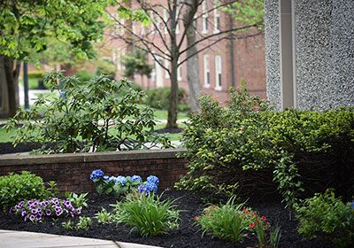 A garden on the campus