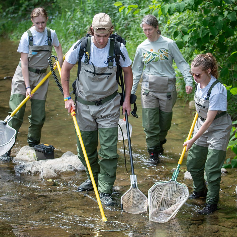 Environmental Science - Banner Graphic