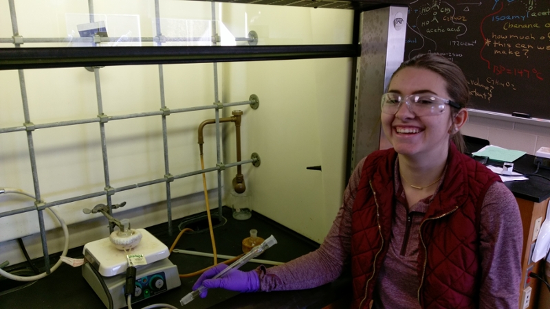 Local chemistry students take advantage of college laboratory facilities