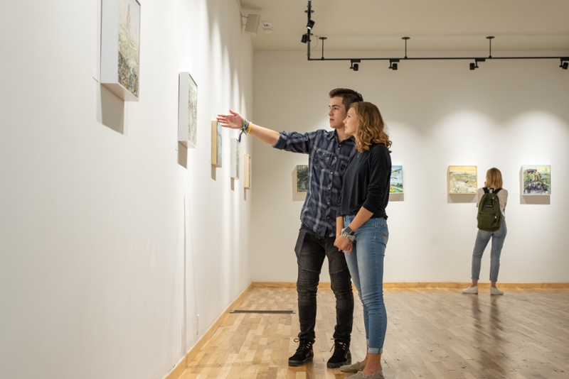 Lycoming College National Juried Exhibition Call for Entry