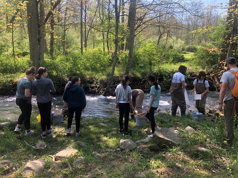 Students from Loyalsock Middle School learn about riparian buffers through programming offered by the Waterdale Environmental Education Center 
