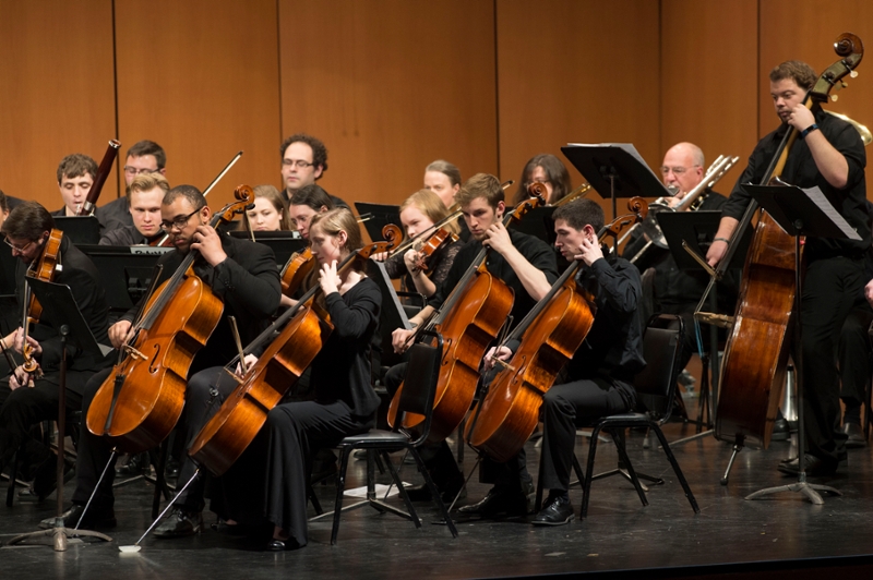 Lycoming College Community Orchestra to perform arias and overtures