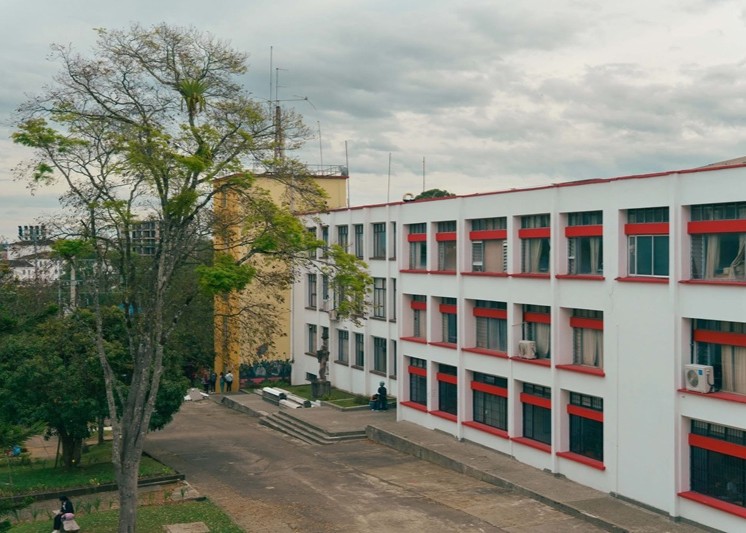Universidad del Cauca